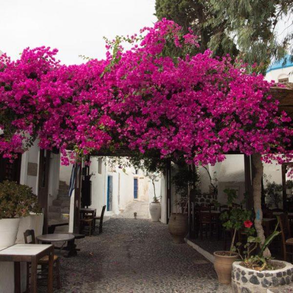 Villa Orpheus Santorini Megalochori  Zewnętrze zdjęcie
